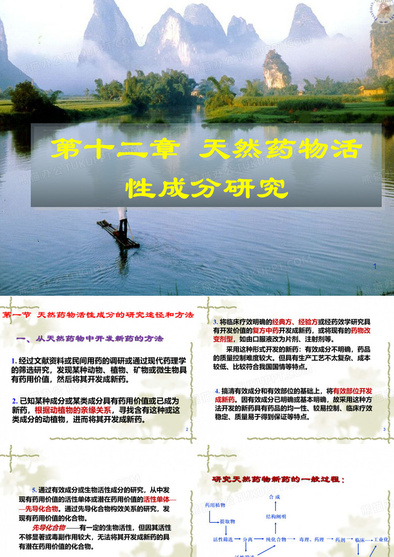 天然药物化学-天然药物活性成分的研究