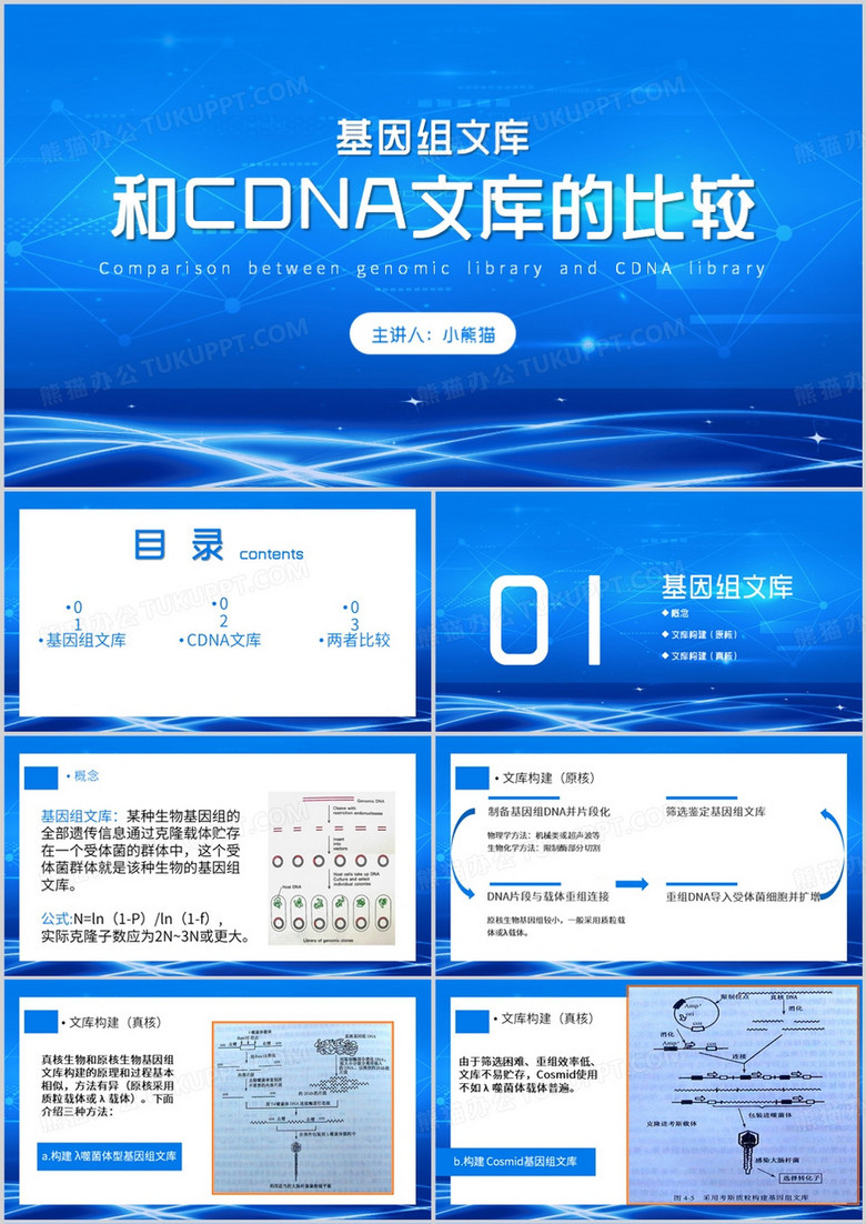 基因组文库和cDNA文库的比较PPT模板