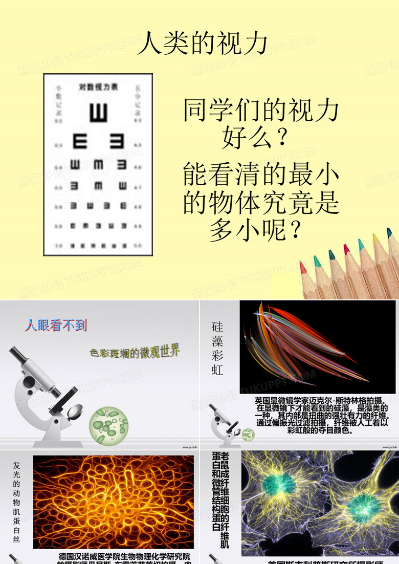 显微镜 科学课课件