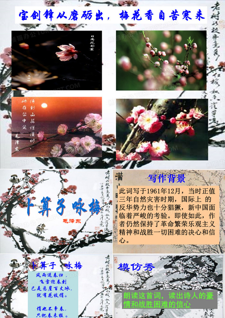 6.23毛泽东词二首--卜算子_咏梅 课件(苏教版七年级下)