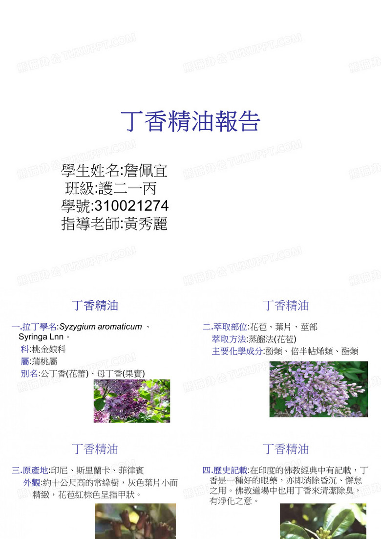 丁香精油报告