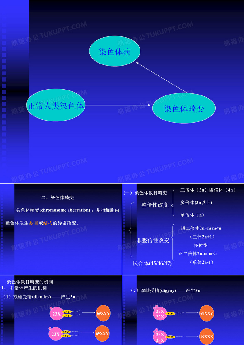 染色体畸变与染色体病