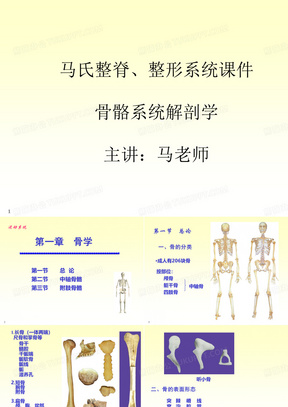 1、骨骼系统解剖学---骨骼