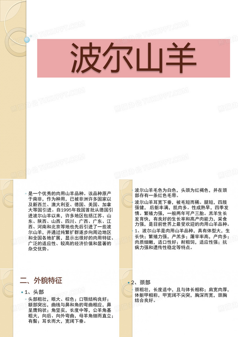 波尔山羊