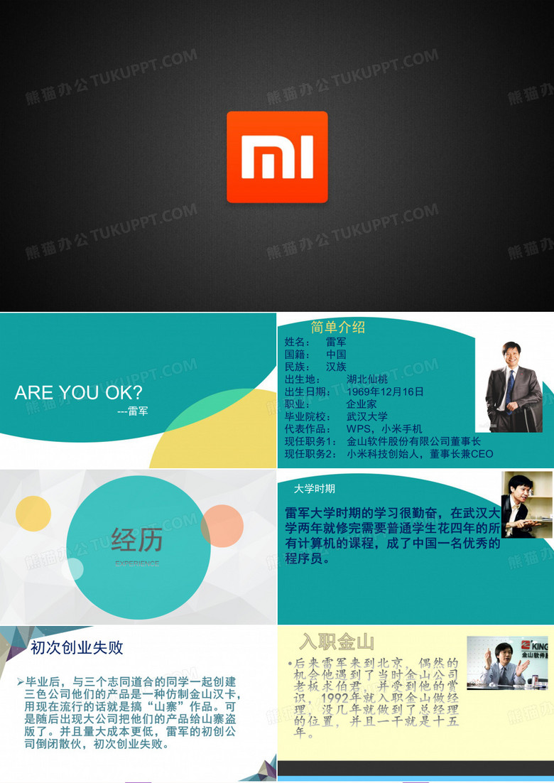 雷军介绍和经历