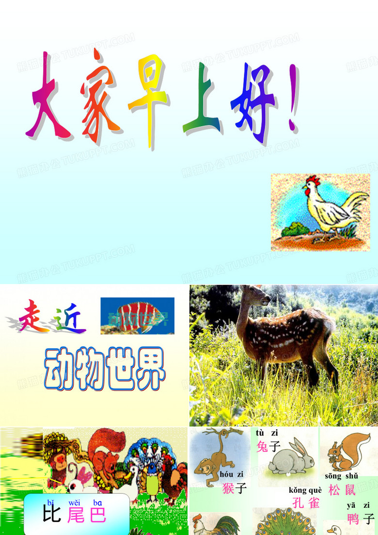 比尾巴