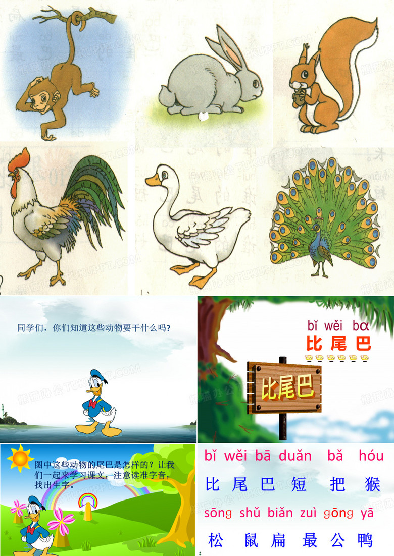 比尾巴