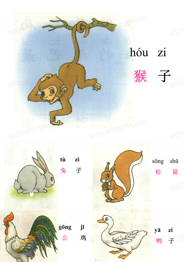 比尾巴