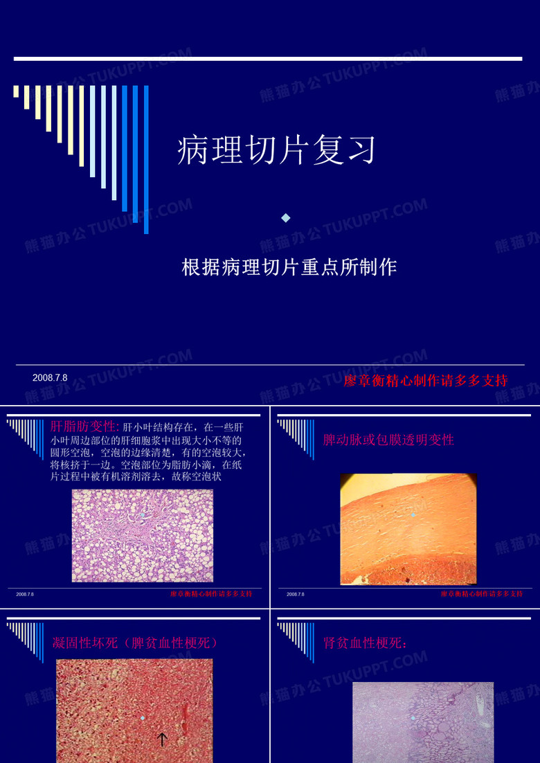 病理学病理学切片图集