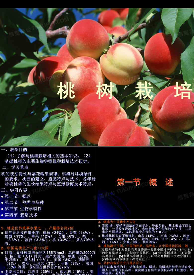 桃树栽培(2017)