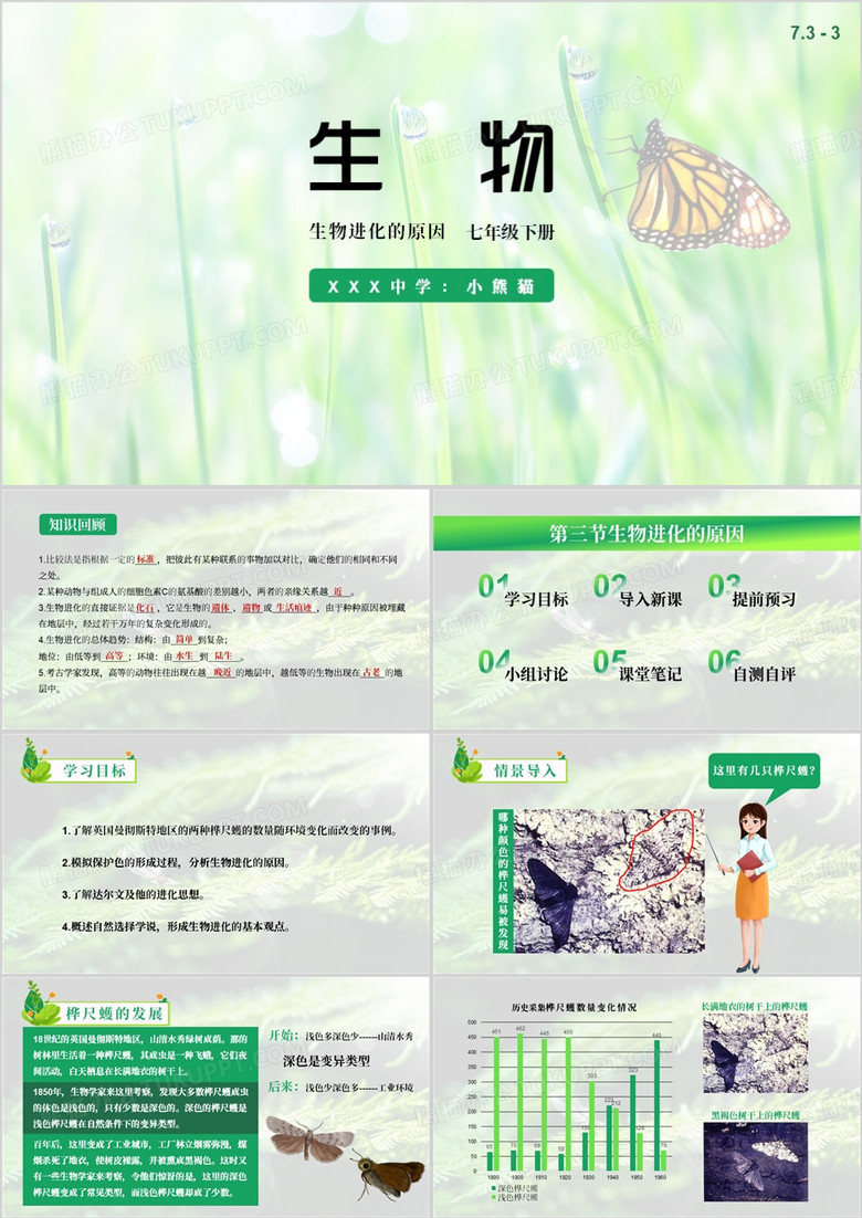绿色生物进化的原因PPT模板