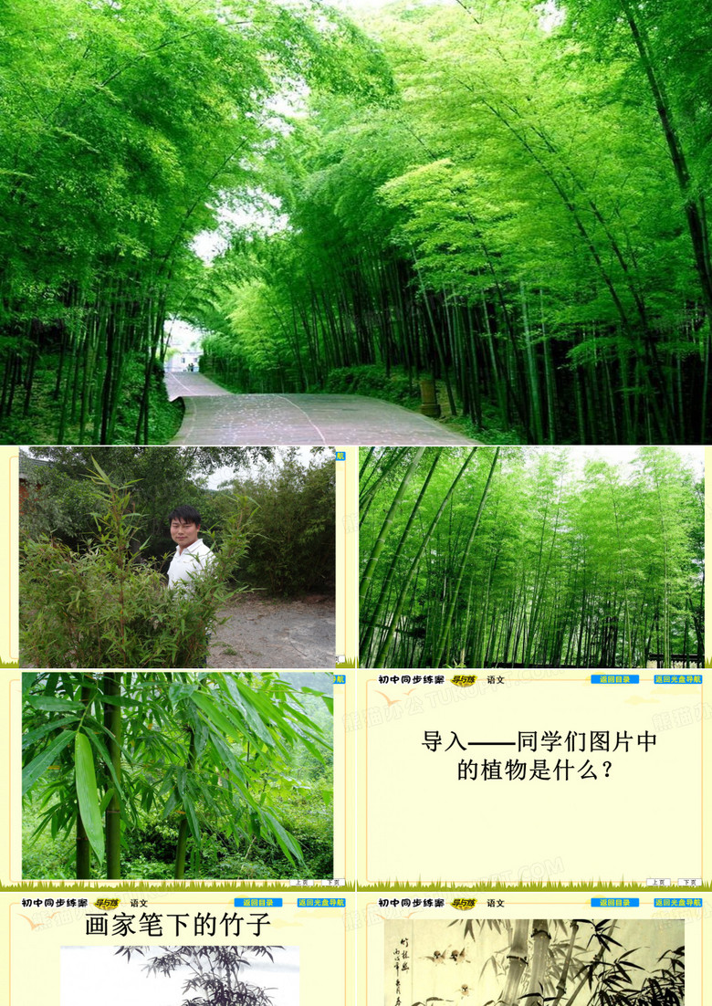 竹节人ppt