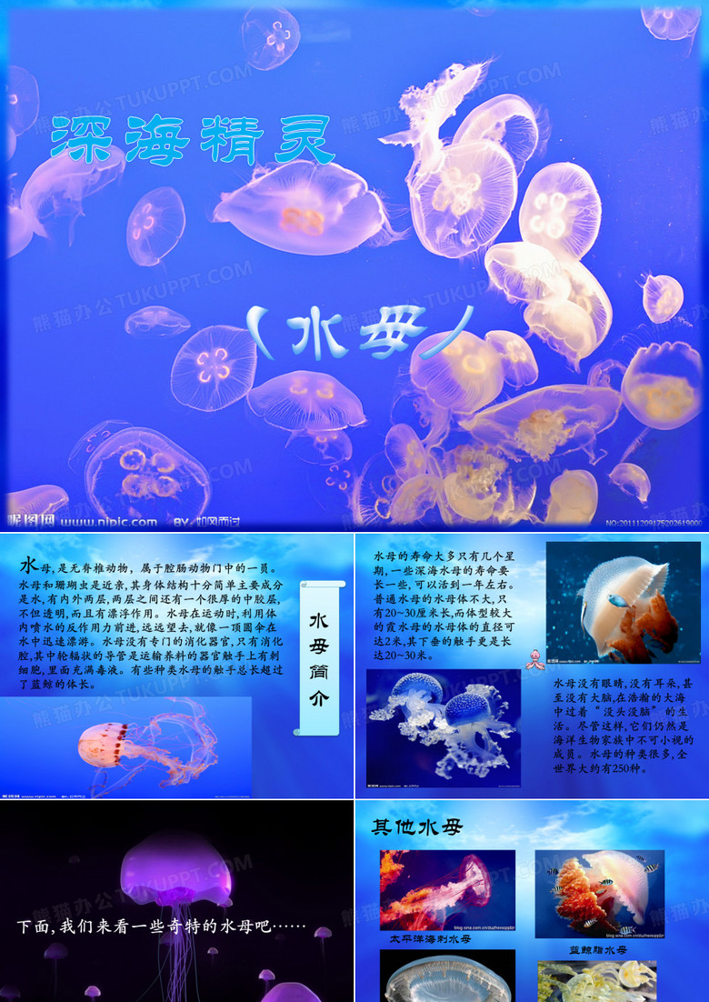 水母