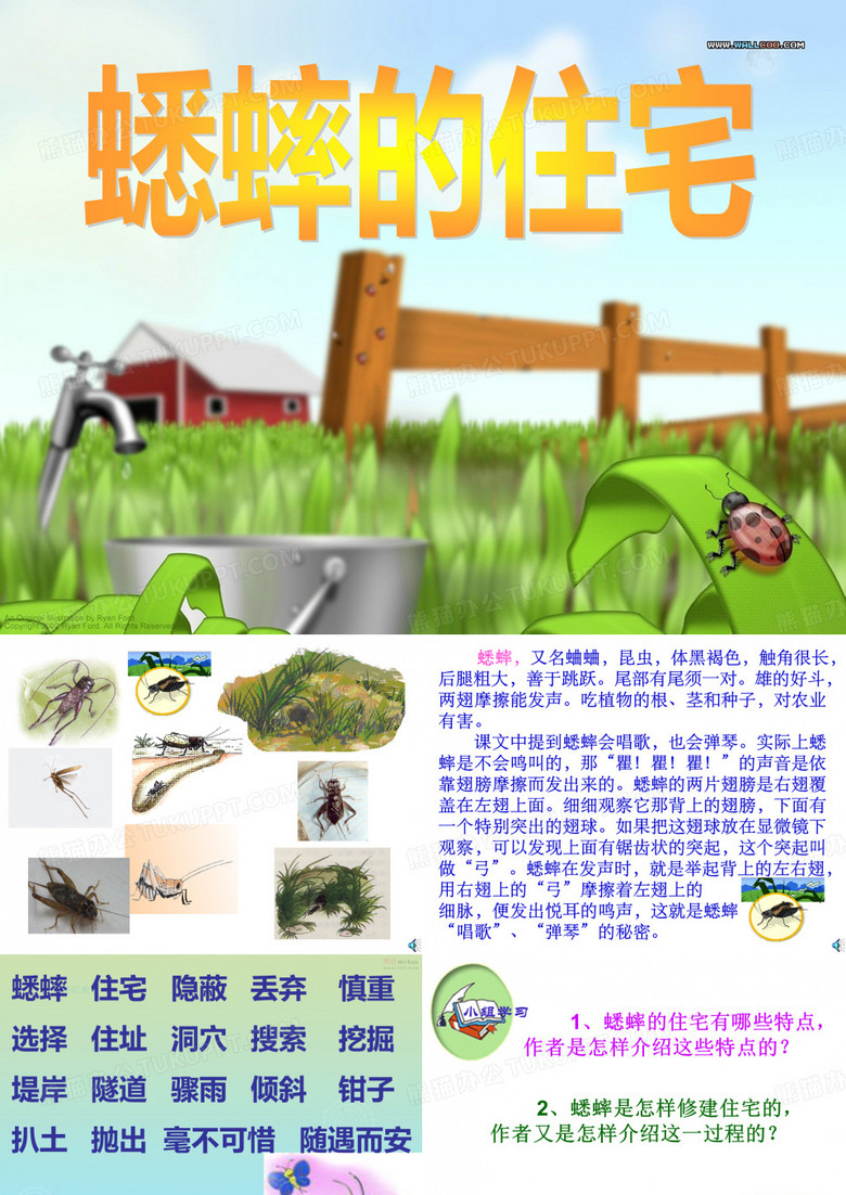 蟋蟀的住宅