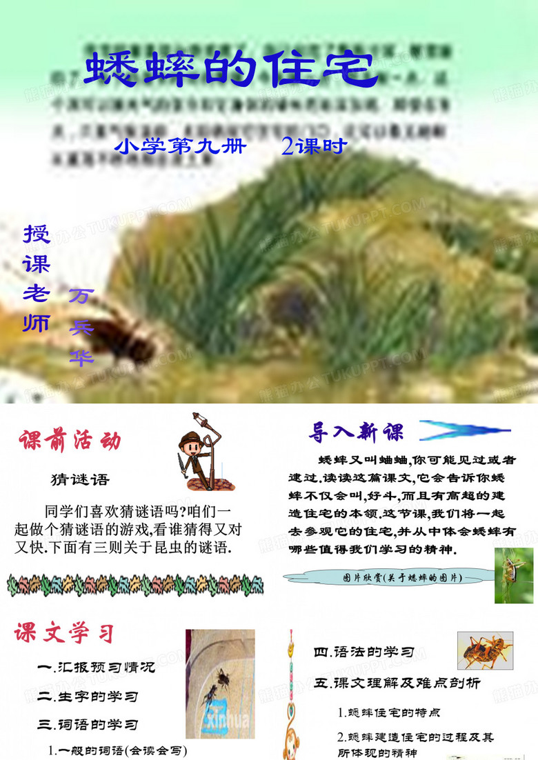 蟋蟀的住宅