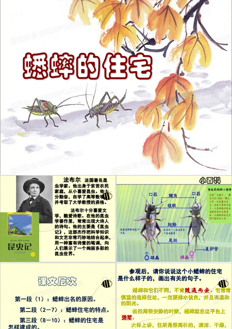 《蟋蟀的住宅》