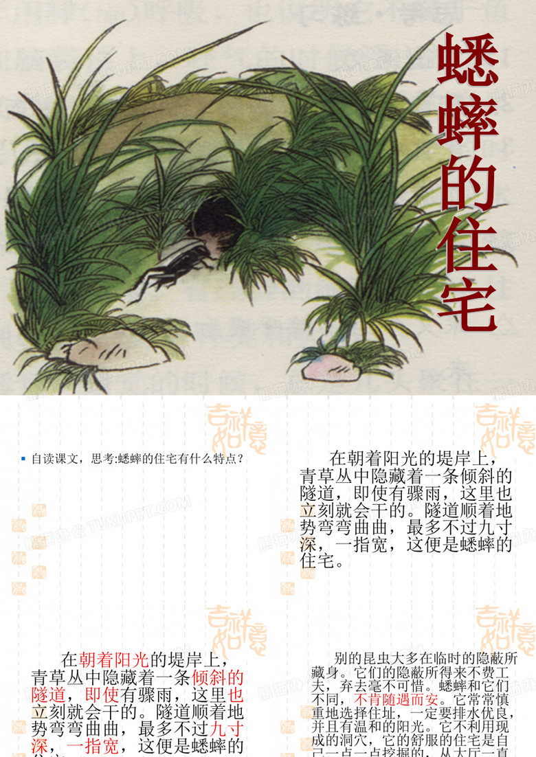 蟋蟀的住宅