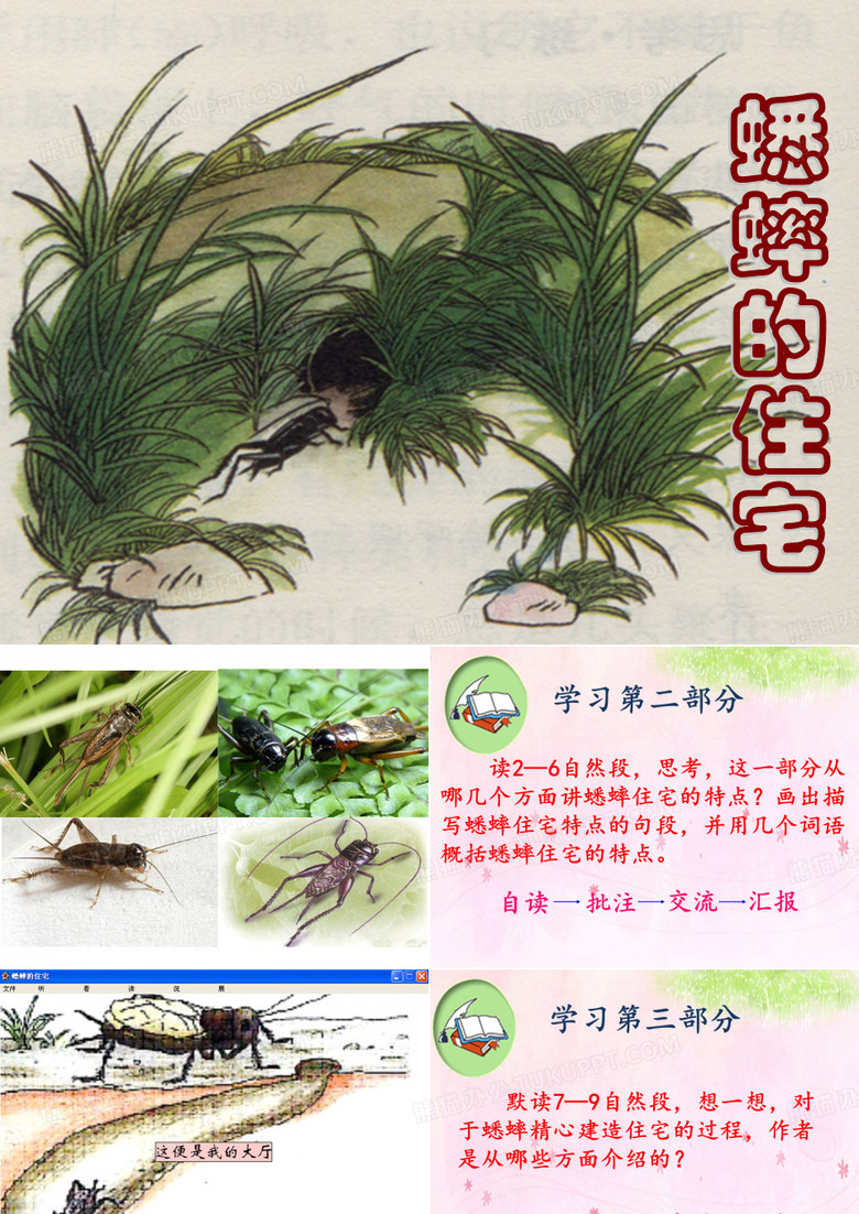 蟋蟀的住宅
