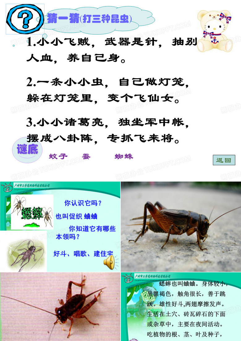 蟋蟀的住宅.