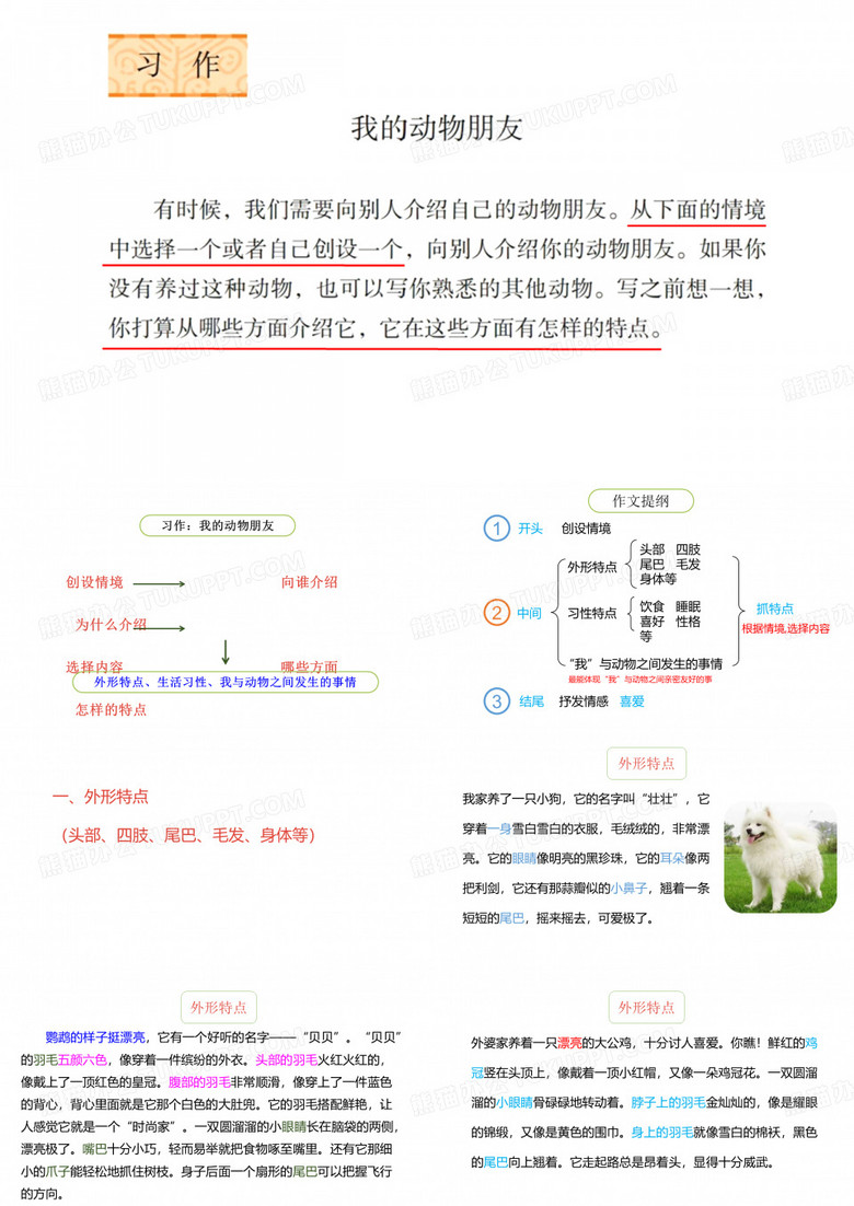 习作：我的动物朋友