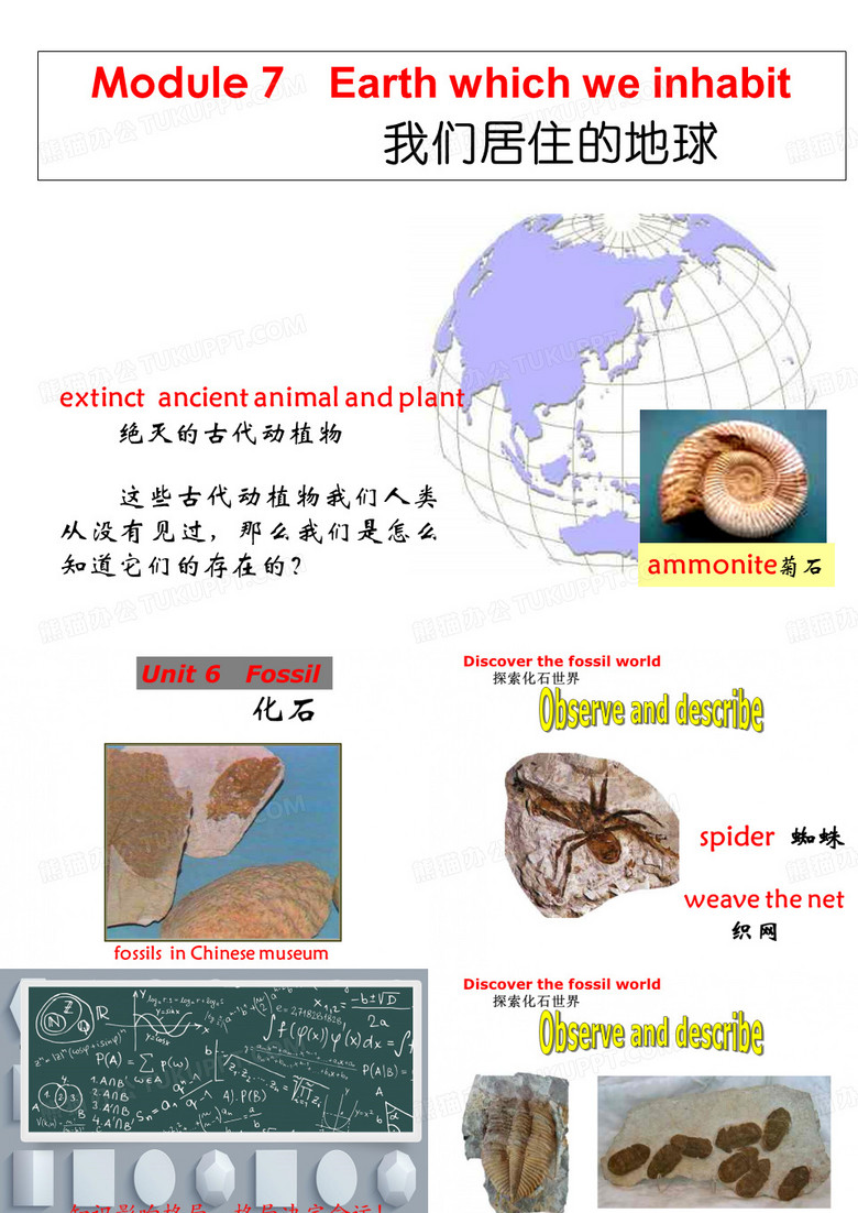 化石 PPT