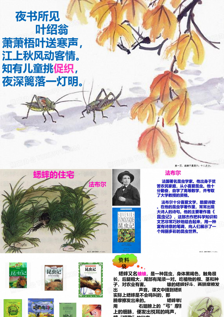 《蟋蟀的住宅》