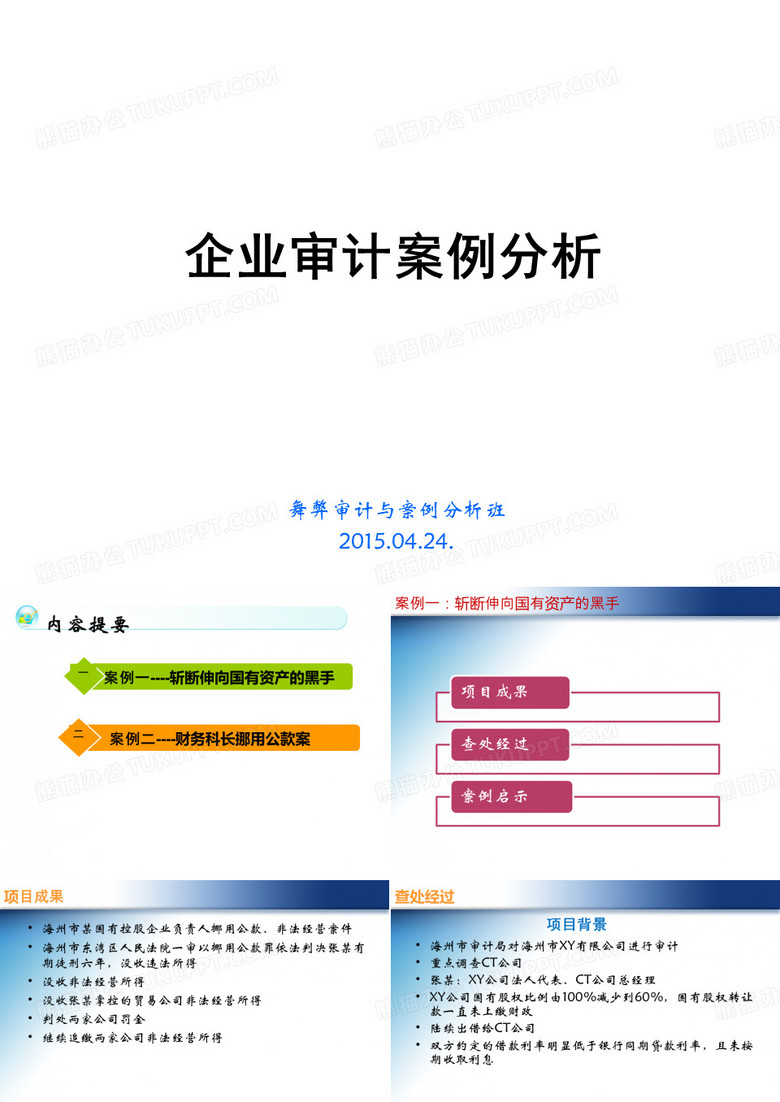 企业审计案例.