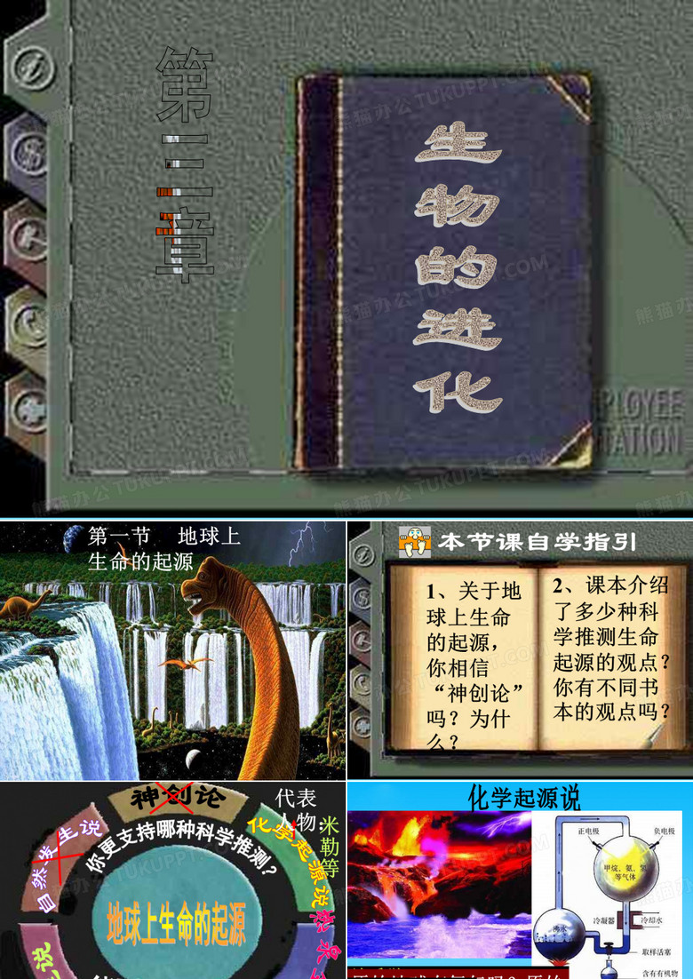 生物的进化