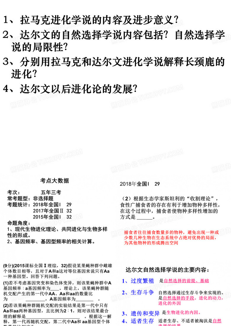 生物进化