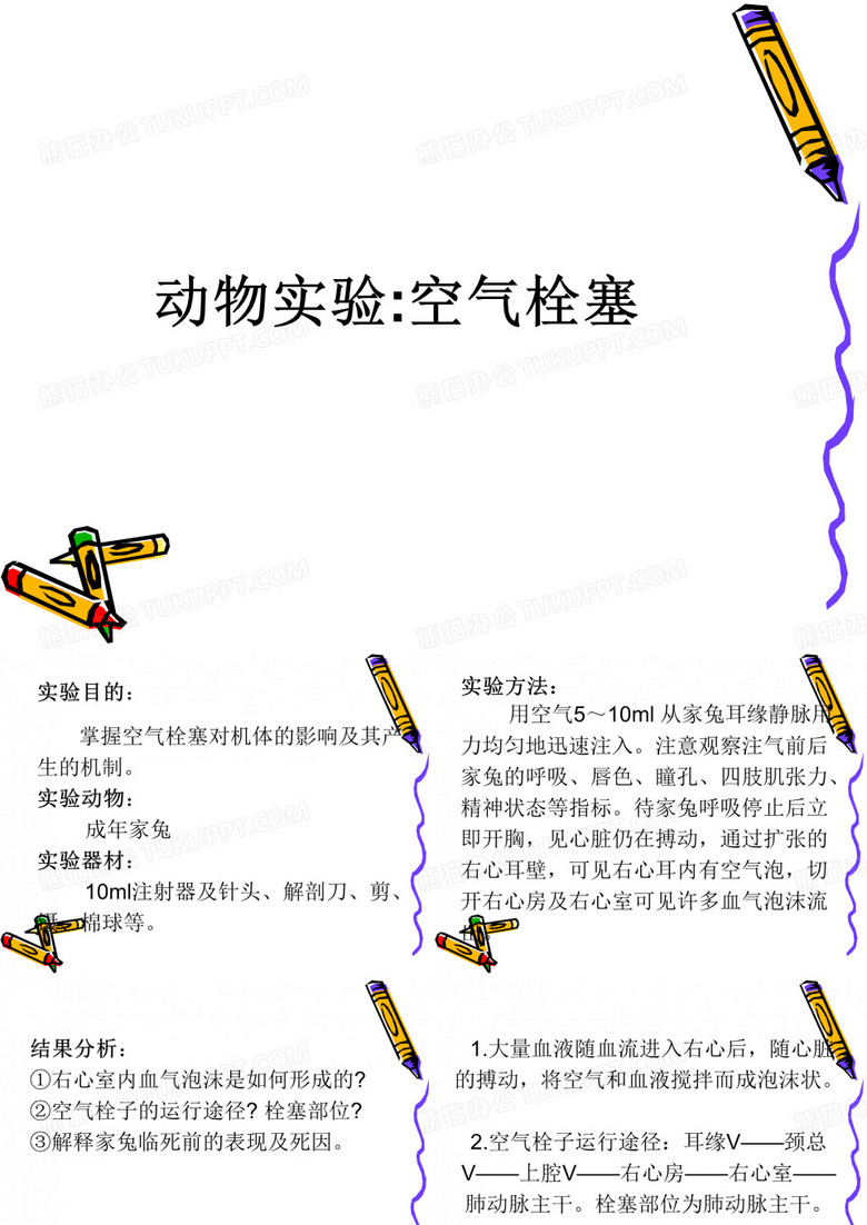 空气栓塞动物实验