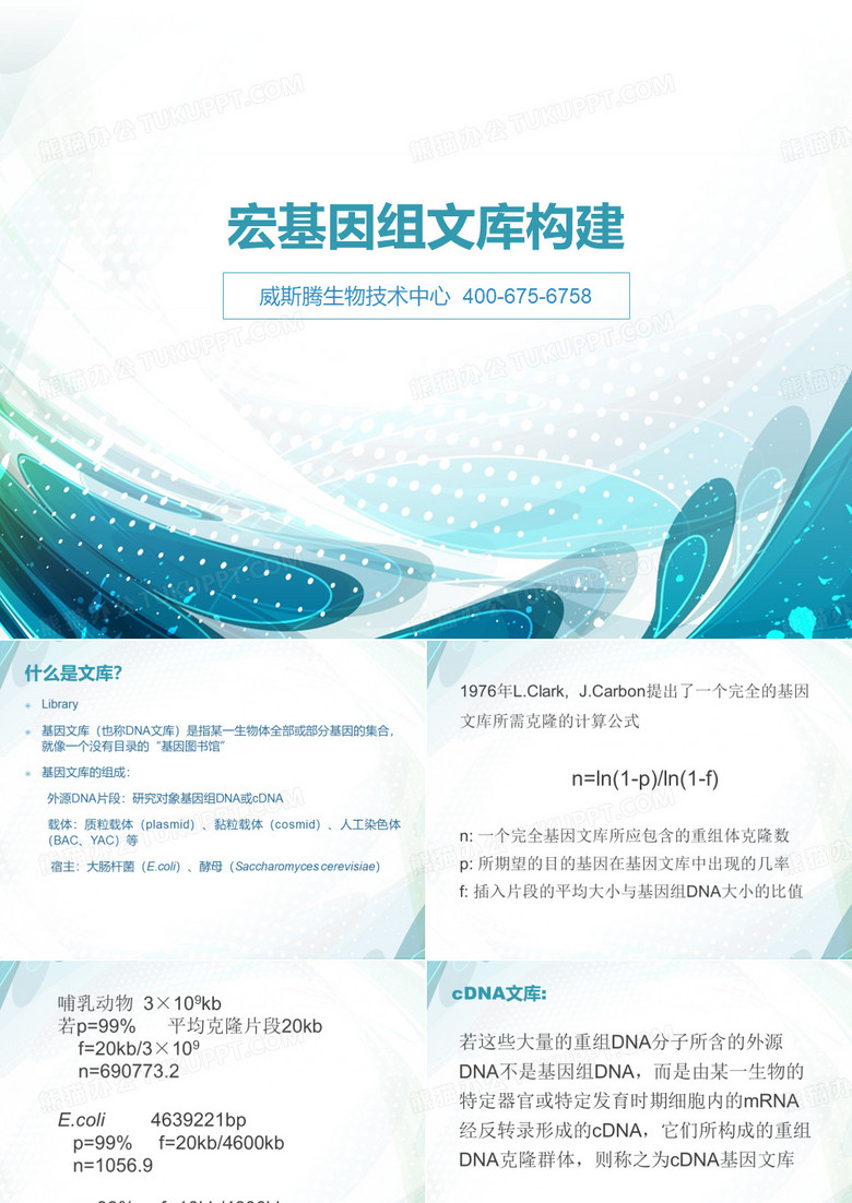 宏基因组文库构建-文档资料