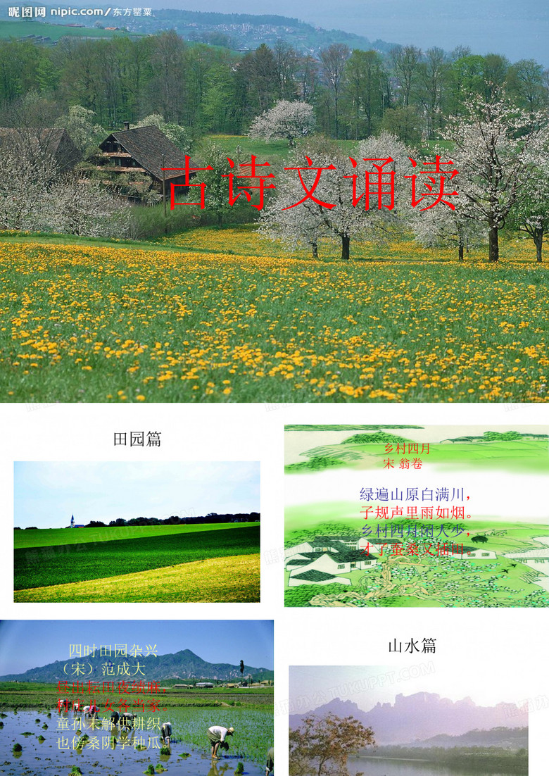 古诗文诵读社团展示