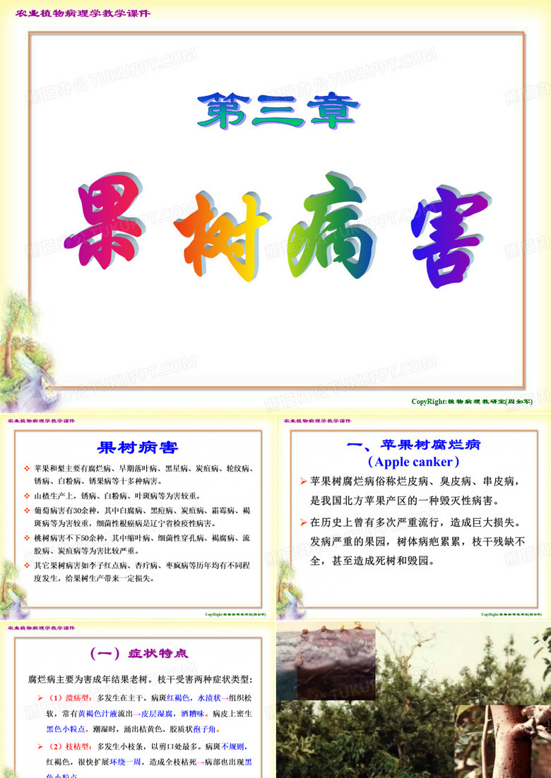 果树病害