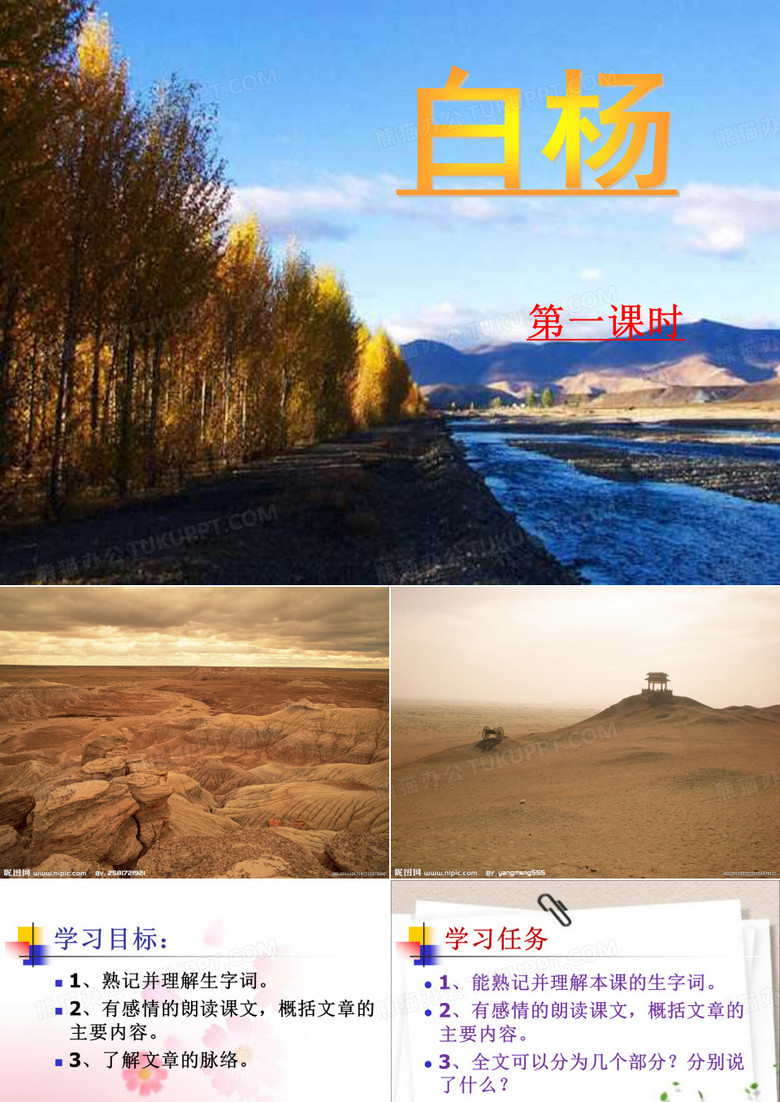 《白杨》