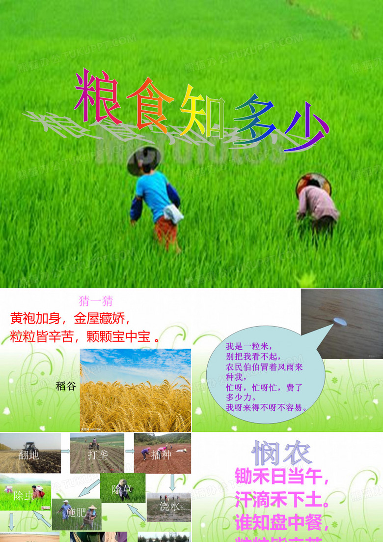 爱惜粮食