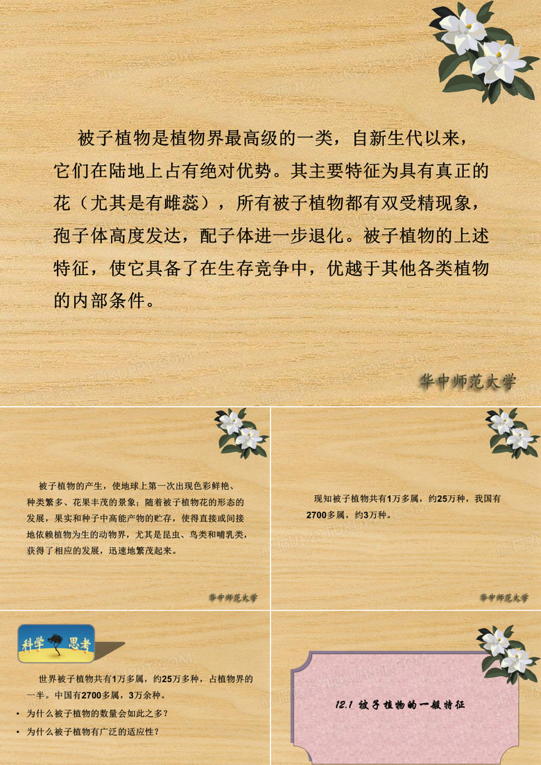 被子植物