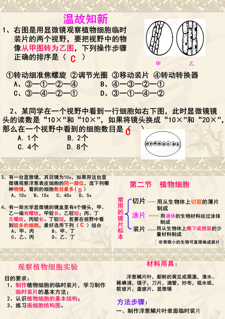 植物细胞
