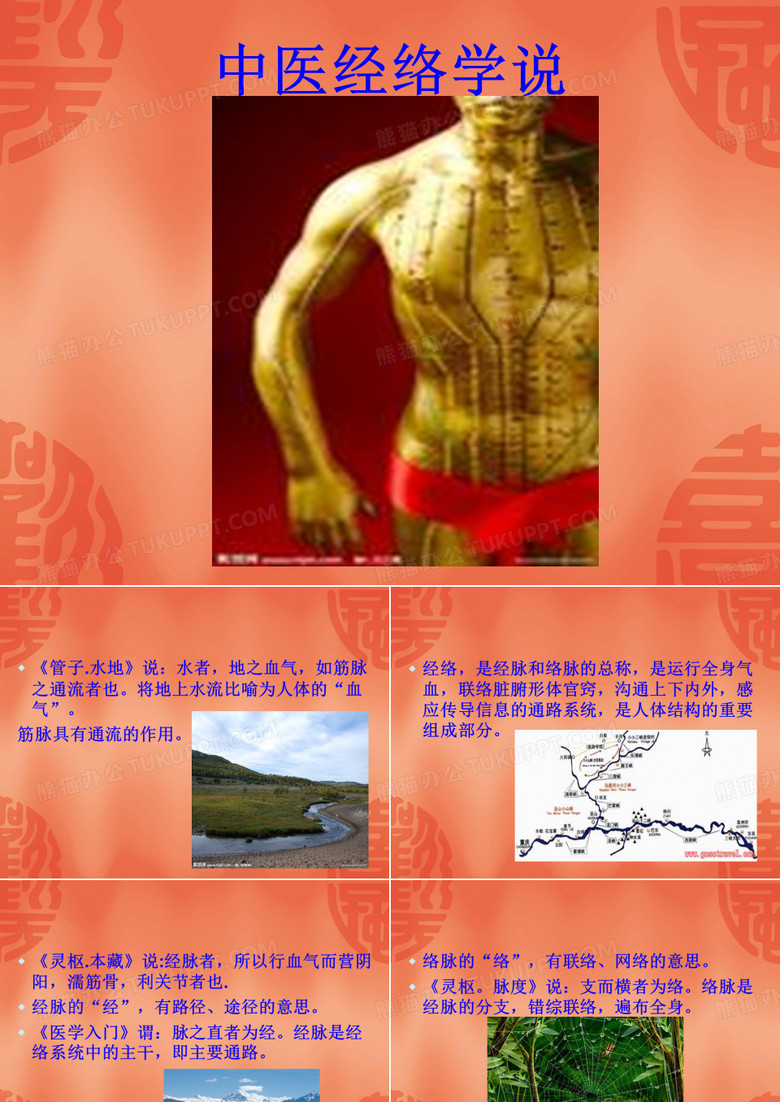 中医经络