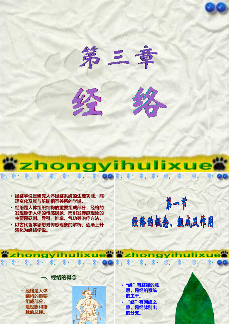 中医经络