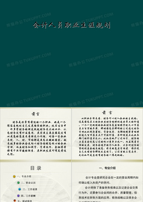 会计人员职业生涯规划