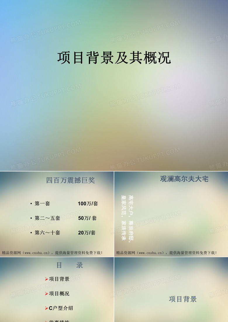 项目背景及其概况