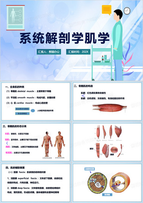 蓝色简约系统解剖学肌学PPT模板