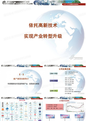 高新技术实例企业