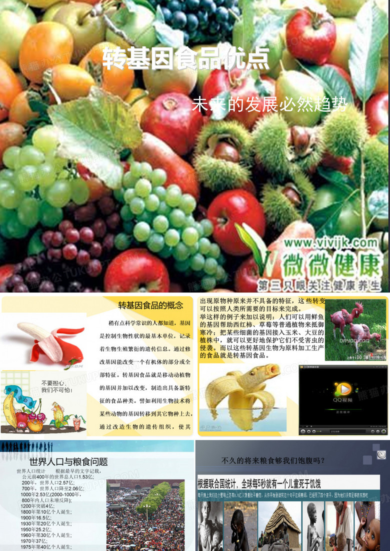 转基因ppt