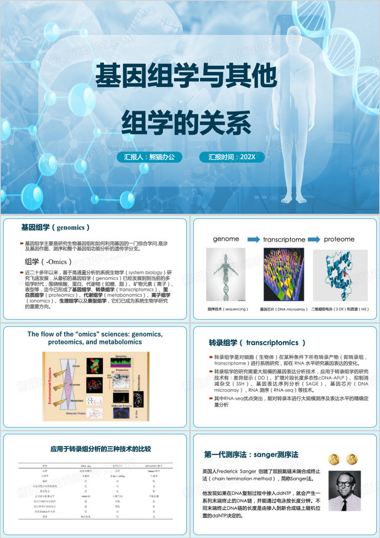 基因组学与其他组学的关系PPT模板