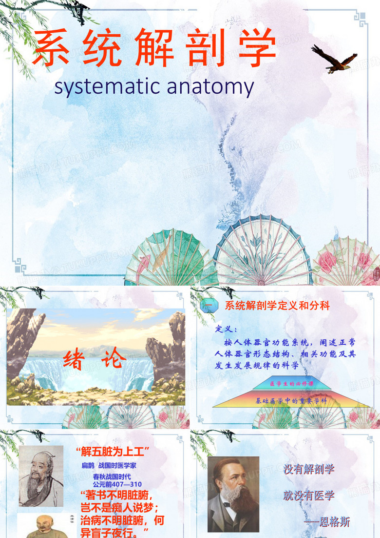 【人体解剖学】解剖绪论