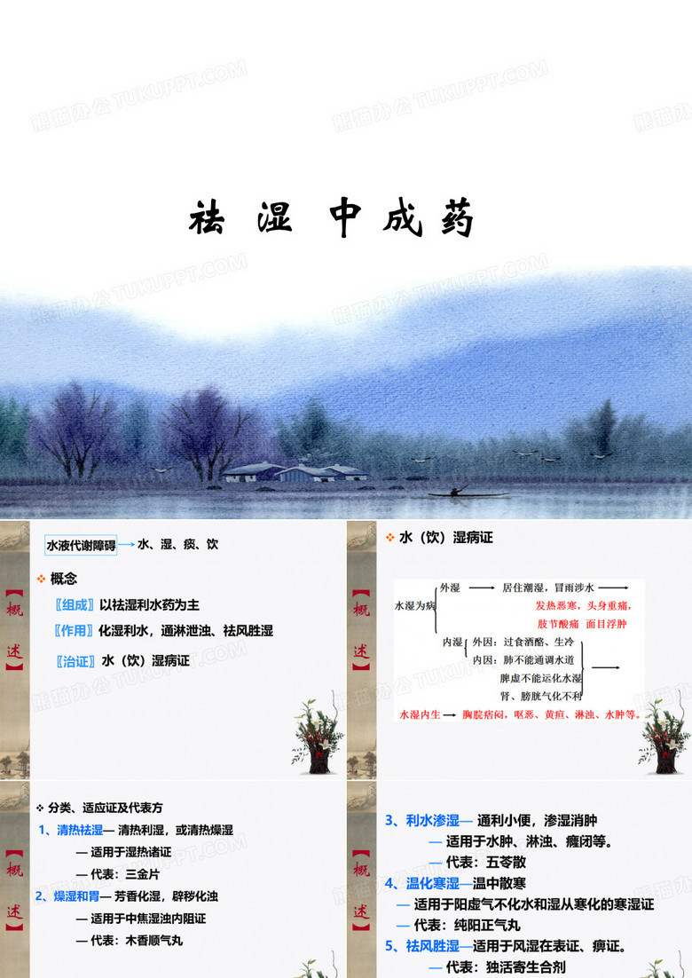 中成药用药指导13祛湿中成药 