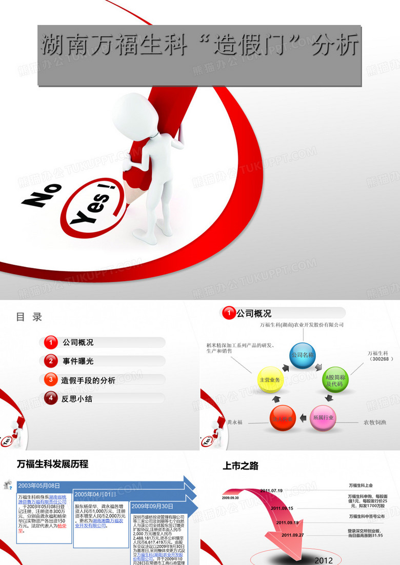 财务造假案例分析
