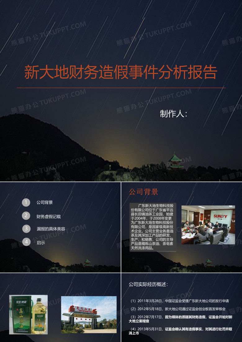 新大地财务造假分析