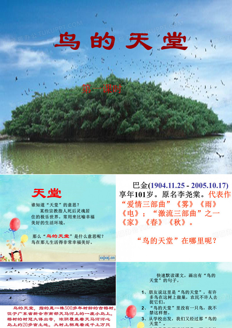 《鸟的天堂》